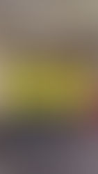 フロントスクワット（VBT）- エクササイズ紹介 -