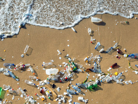 ¿Cómo hacer una recogida de basura?