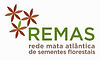 logo remas.jpeg