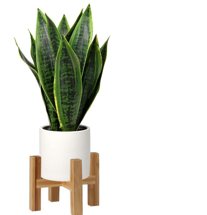 Writer: Bloom Home Staging