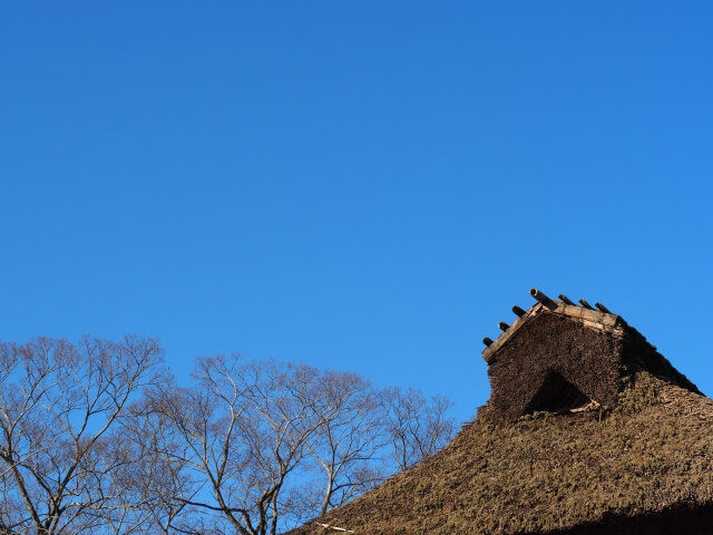 リノベーションで現代の暮らしに合う快適な住まいを作る方法