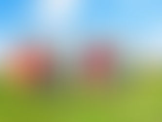 Методическое обеспечение образовательной деятельности дошкольного образования