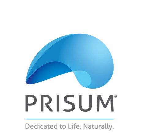 branding prisum logo
