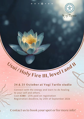 Usui Reiki Training