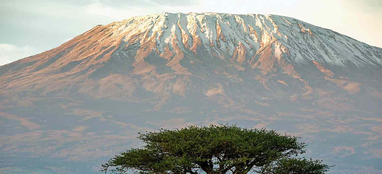 Kilimanjaro-and-acacia-tree-kenya.jpg