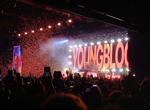 Show da banda 5 Seconds of Summer em São Paulo (Foto: Karen Teixeira)