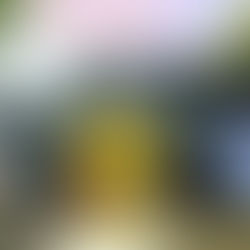 Na cadeira de rodas, ao infinito e além