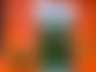 Jardim Euro Chega a Maringá: O Novo Verde da Cidade Canção