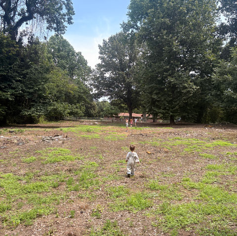 After the Move, the Land: Our Next Chapter Begins