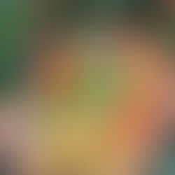 Poverty Simulations or Personal Power? Time to Choose Health for All