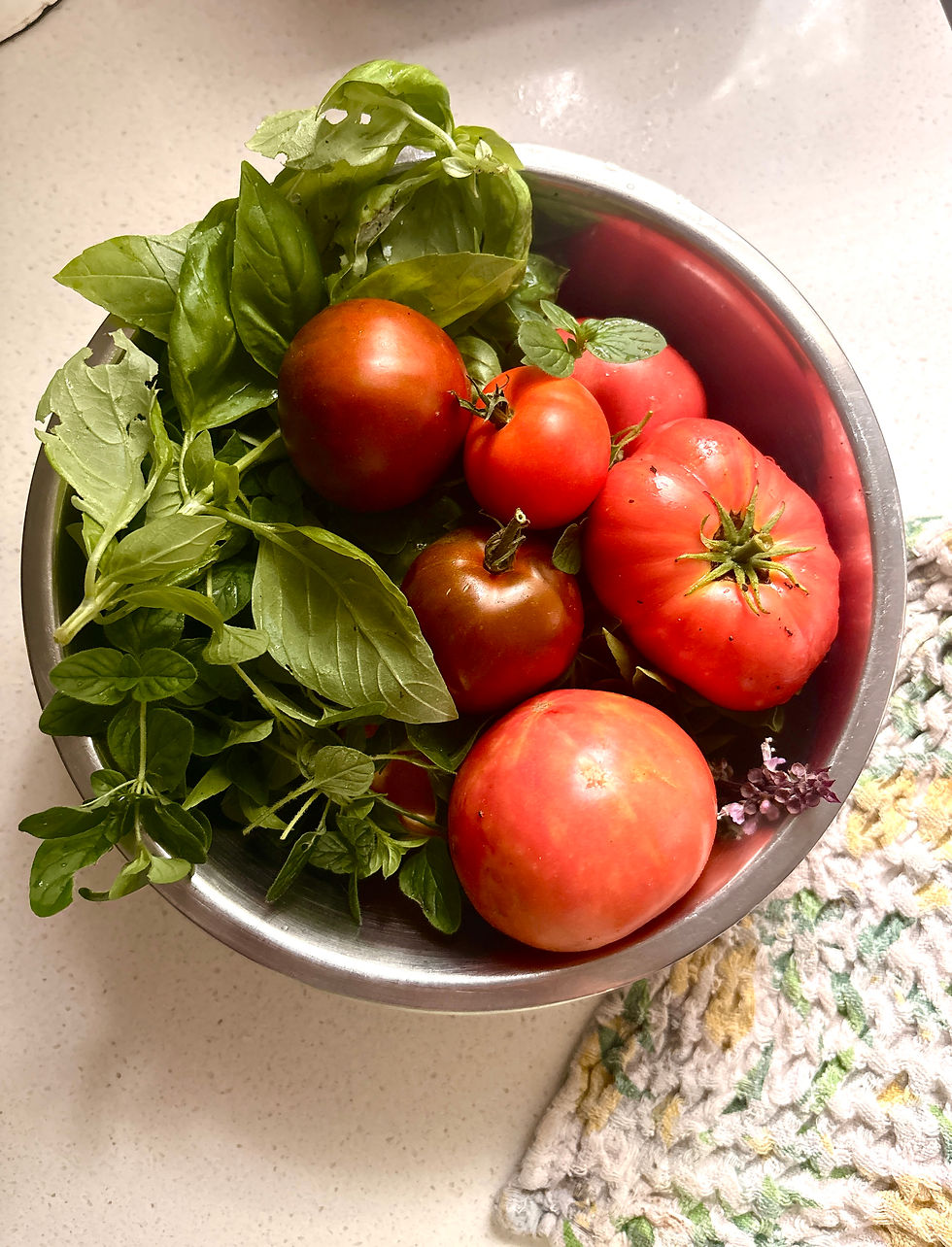 New Garden, Small Harvest, Big Flavor: Seed to Plate Tonight