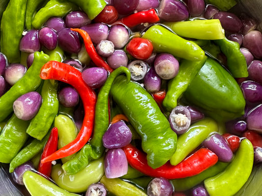 backyard garden pepper harvest 