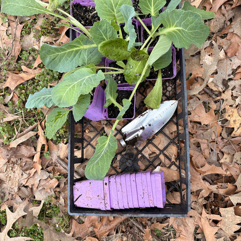 The Gardening Year Has Begun