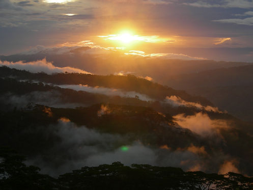 East Timor OP Astute - 2007 077.jpg