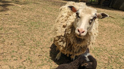 PXL_20240502_175407365