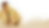 all the time.png