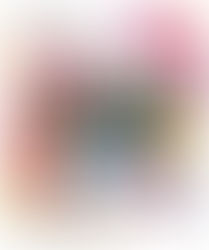 2025年 特選中古建機即売会のお知らせ（2025年3月29日～6月14日）