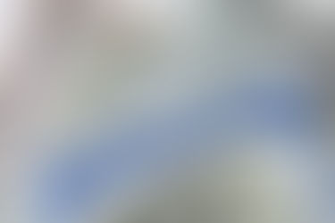 Social Security Card With USD Cash