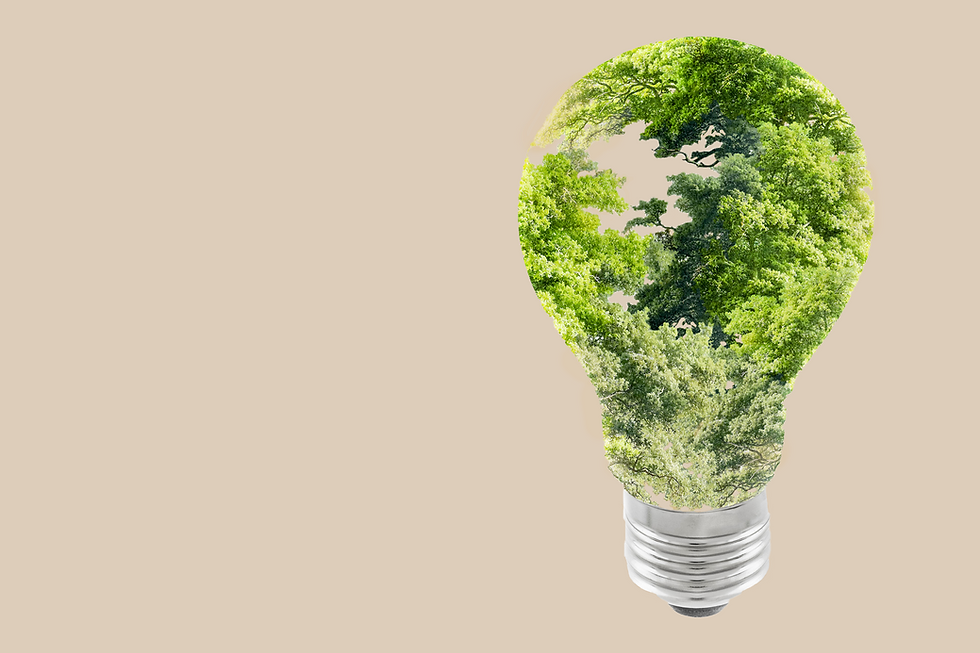 sustainable-energy-campaign-tree-light-bulb-media-remix_edited.png