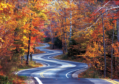 Winding Roads to Straight Points...