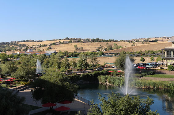 El Dorado Hills food