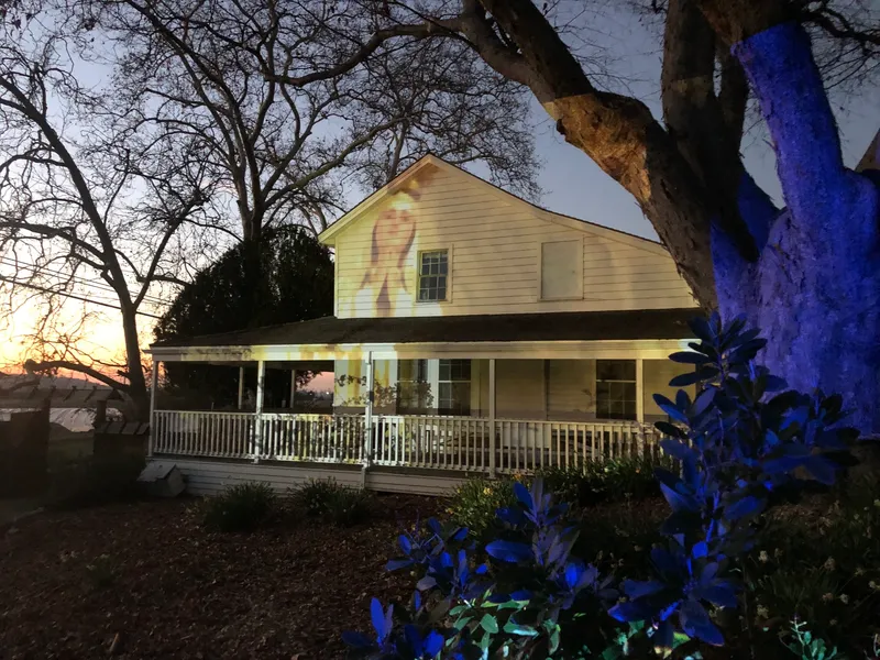 Myrtle Tree Arts: On Fire and Writing