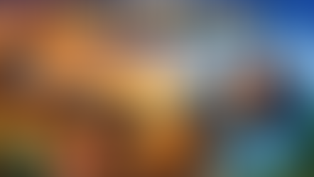 A Fair Shot in a Digital World