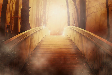 bridge_for_website.jpg