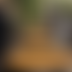 Paellas para eventos, la forma más sencilla de alimentar a más de 100 invitados