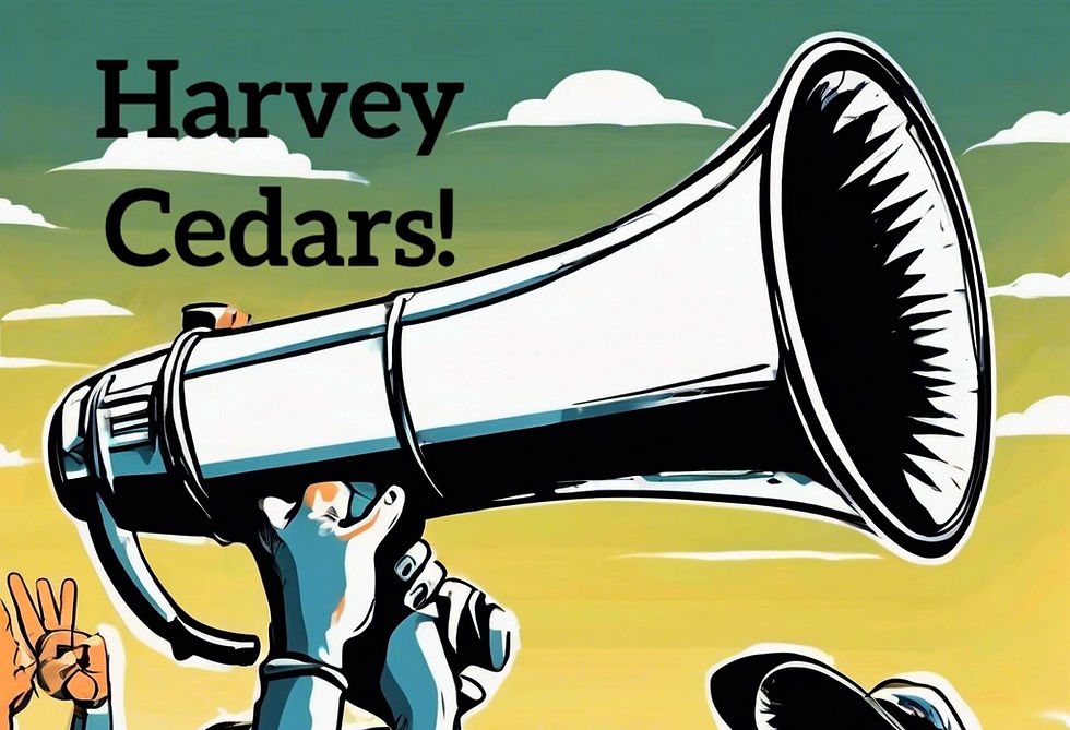 Borough Commissioner Meeting