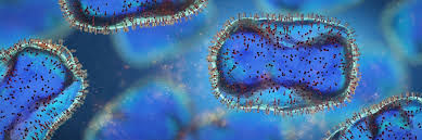 Let's learn about monkeypox!