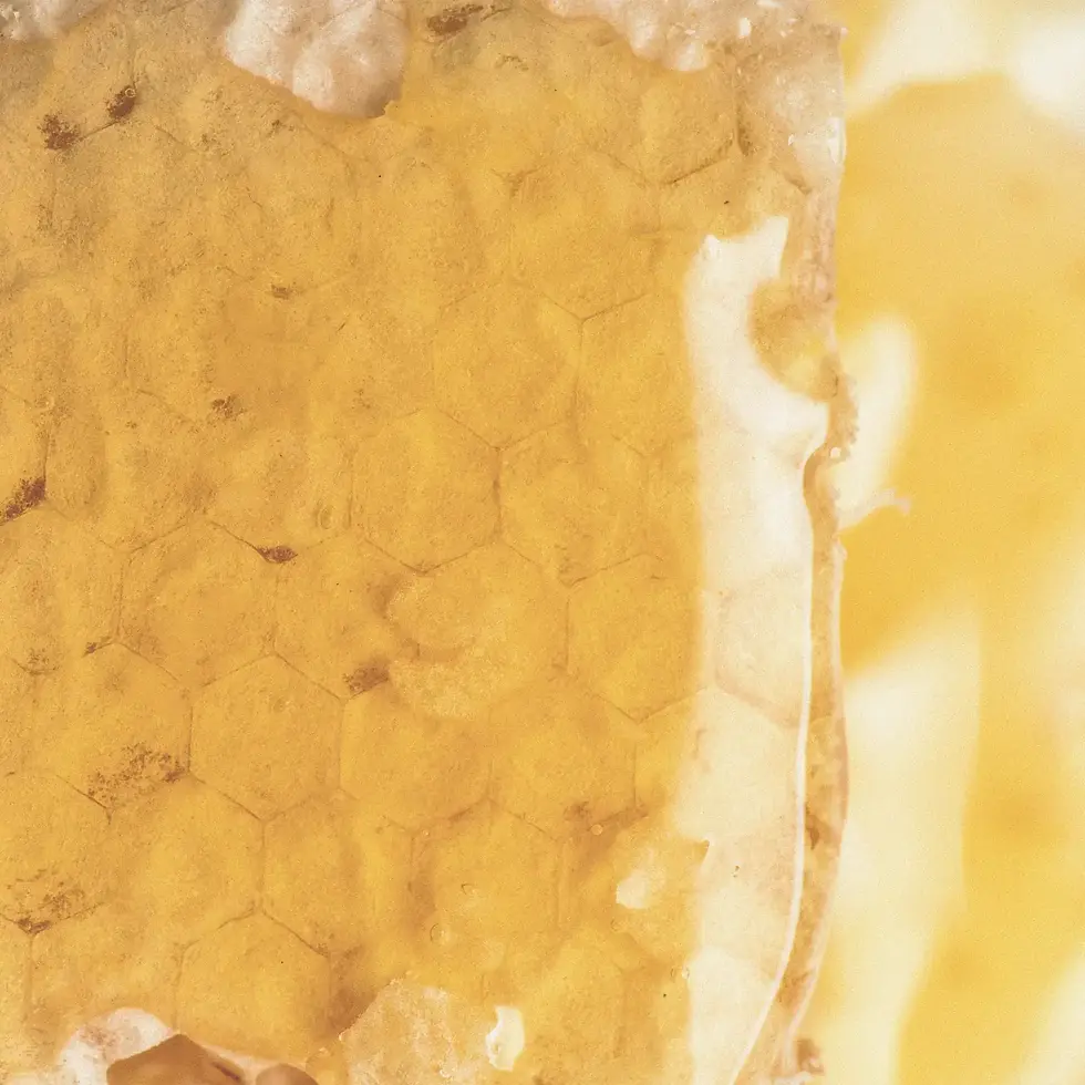 Miniatura: GELEVITAL - MULTIVITAMINICO NATURALE