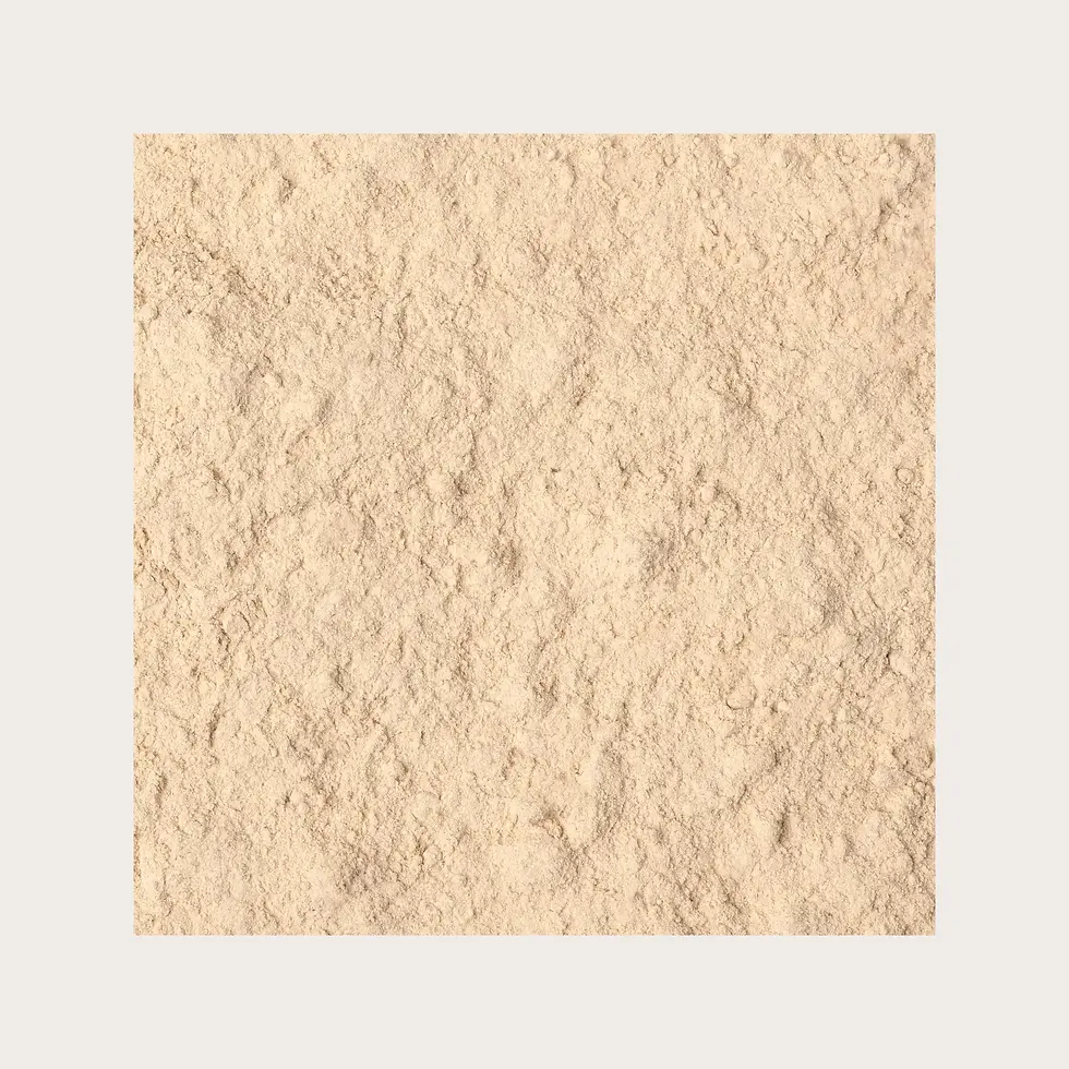 ANANS GAMBO IN POLVERE