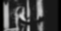 Website_landscape.jpg