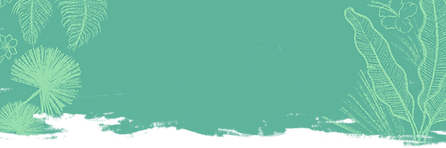 Tropical Background