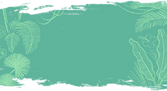 Tropical Background