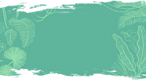 Tropical Background
