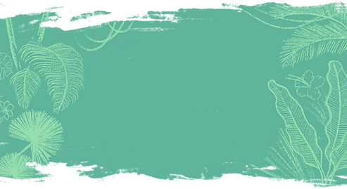 Tropical Background