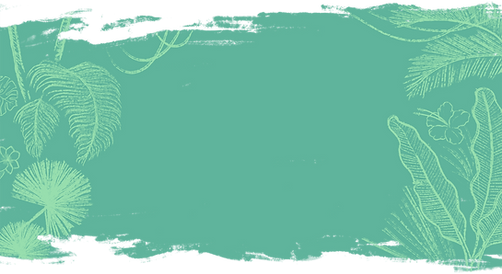 Tropical Background