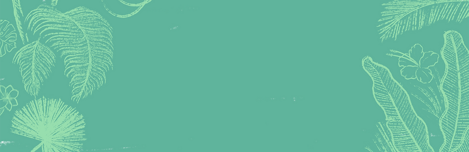 Tropical Background