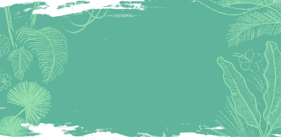 熱帯の背景