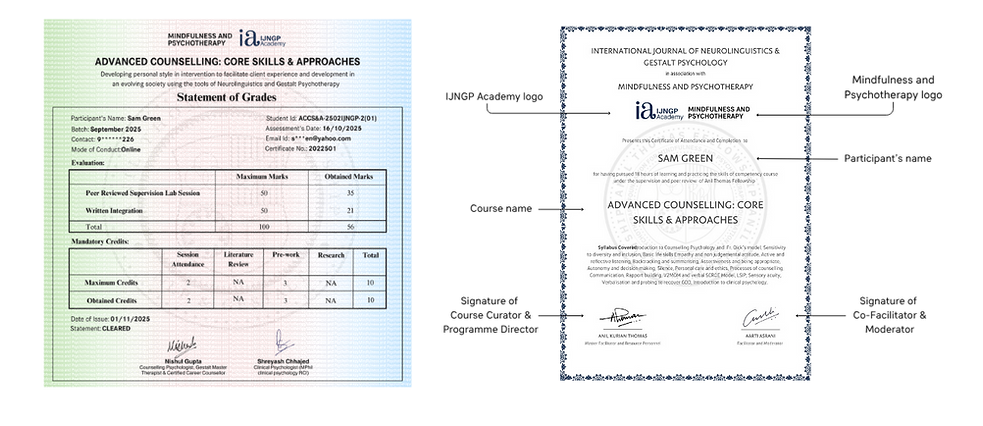Certificate ACCS&A 2025.png