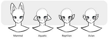 f0f862b8e0ebe507c60bf44c79a588aa.jpg (3).png