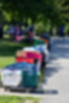 fullsizeoutput_ef1.jpeg