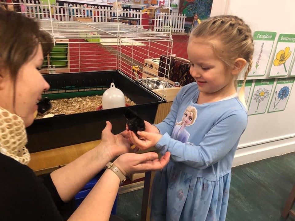 Chick hatching experience at nursery this Spring!
