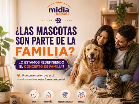 ¿Las mascotas son parte de la familia o estamos redefiniendo el concepto de familia?