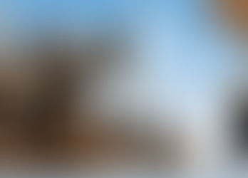 El Síndrome de Noé y el de Diógenes: los humanos y las mascotas