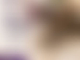 ¿Qué significa que un gato "amase"?