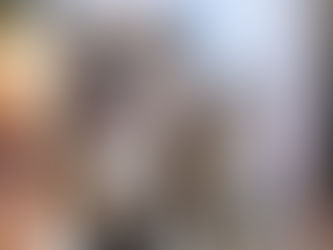 🐾 Mitos comunes sobre las mascotas (y la verdad detrás de ellos)