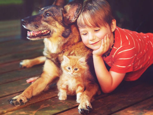 El "puppy yoga" y otras cuestionables humanizaciones de las mascotas.